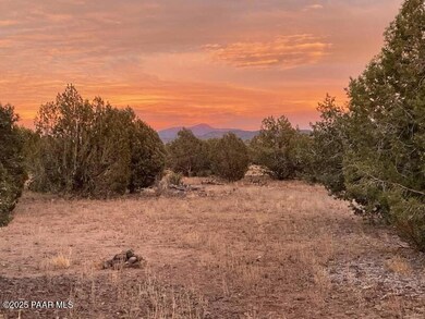 40850 N Stagecoach Blvd, Ash Fork, AZ 86320 - photo 3