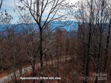 Lot 253 Haddington Dr, Mill Spring, NC 28756 - photo 2