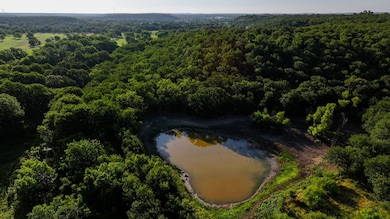 0000 Fm 61, Graham, TX 76450 - photo 6