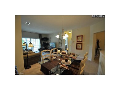 717 Aqua Marine Blvd unit 717, Avon Lake, OH 44012 - photo 5