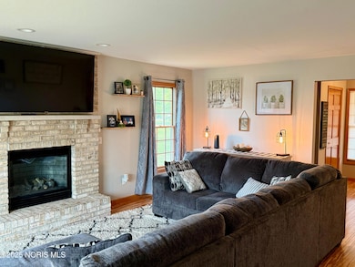 810 Greenview Ave, Delta, OH 43515 - photo 7