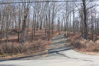 0 Electronics Rd, Clinton Corners, NY 12514 - photo 2