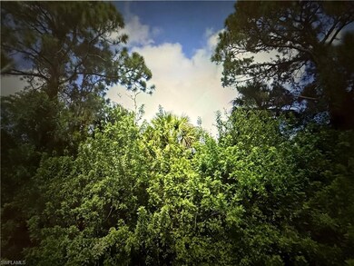 0 5th St NW unit 225073751, Naples, FL 34120 - photo 4