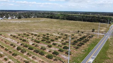 3200 Power Line Rd, Avon Park, FL 33825 - photo 7