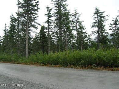 L1 B13 Cove Creek Rd, Whittier, AK 99693 - photo 3