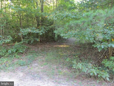 7309 Lakewood Ln, Spotsylvania Courthouse, VA 22551 - photo 5