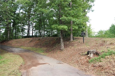 1034 Ainu Ct, Dahlonega, GA 30533 - photo 3