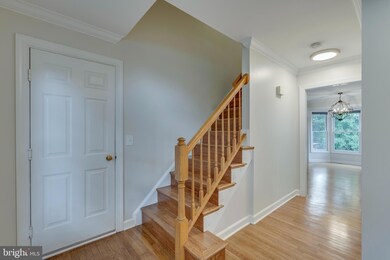 20619 Cutwater Place, Sterling, VA 20165 - photo 5