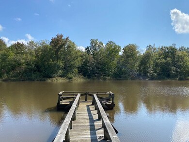 Pond Dock