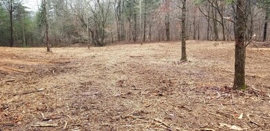 0 Sewell Branch Rd unit 2000839, Linden, TN 37096 - photo 7