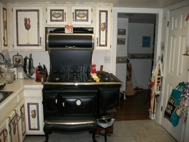 Gas Burners - Electric Oven