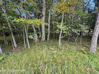 0 Rd, Jim Thorpe, PA 18229 - photo 3