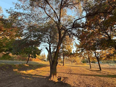 29411 N Dunn Rd, Chattaroy, WA 99003 - photo 7