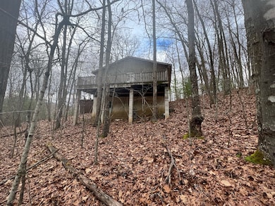 0 Wildcat Hill Rd unit 83419, Gap Mills, WV 24941 - photo 2