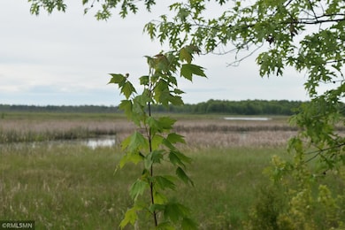 44863 State Highway 48, Hinckley, MN 55037 - photo 6