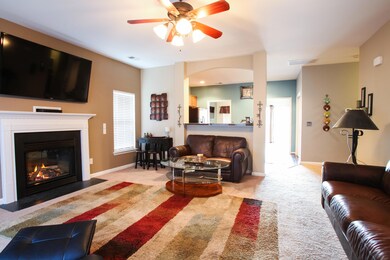 Living Room - Gas FP