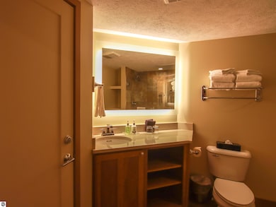 12400-Unit 171 Crystal Mountain Dr unit 171, Thompsonville, MI 49683 - photo 7