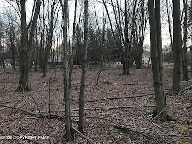 119 Mountain Rd, Albrightsvlle, PA 18210 - photo 5