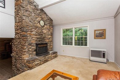 670 Turkey Creek Rd, Leicester, NC 28748 - photo 6