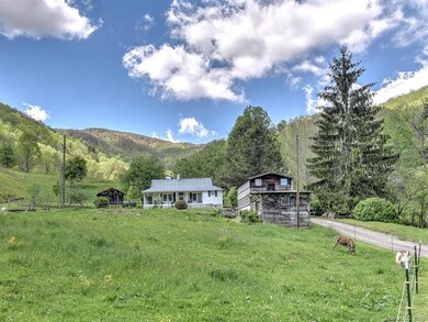 371 Jim Creek Rd, Burnsville, NC 28714 - photo 4