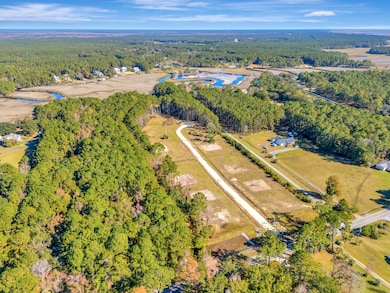 3021 Doar Creek Trail, Awendaw, SC 29429 - photo 6