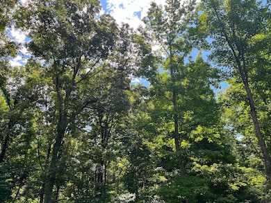 Tillman Chapel Rd, Port Gibson, MS 39150 - photo 3