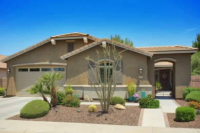 2470EBlueSpruce001