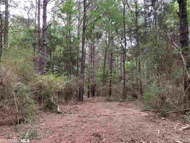 1 Sherwood Highl Rd, Fairhope, AL 36532 - photo 6