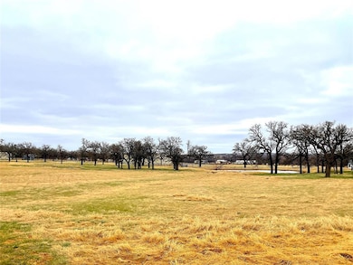 2025 Swallow Tail Ct, Poolville, TX 76487 - photo 4