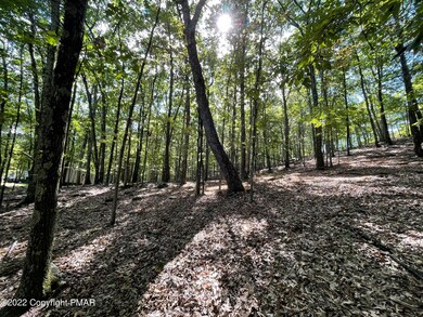0 Lot 152 Chipmunk Rd unit PM-100595, Bushkill, PA 18324 - photo 5