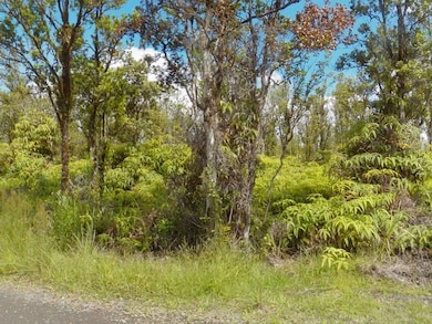 0 Naia St unit 723719, Mountain View, HI 96771 - photo 4