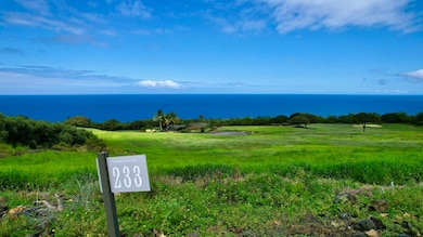 81-6551 Mamaka Place, Kealakekua, HI 96750 - photo 2