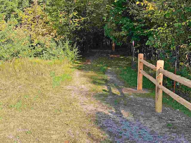 1715 Ellinger Rd, Alanson, MI 49706 - photo 3