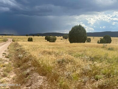 0 N Breeze Ln Lot 71 Svr unit 1051616, Seligman, AZ 86337 - photo 3