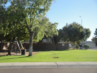 Community Park & Playground