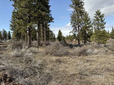 0 Copperfield unit 3007524, Chiloquin, OR 97624 - photo 7