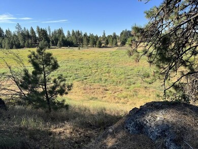 00 N Hayford Rd, Spokane, WA 99224 - photo 7