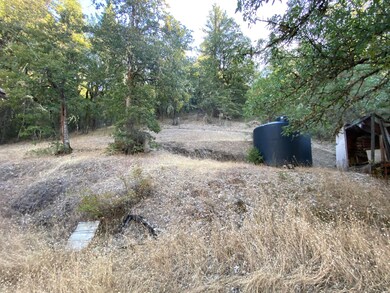 IMG-8431