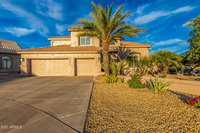 05 - Desert Broom