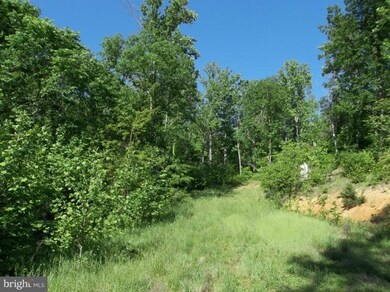 0 Buck Mountain Rd unit 1000074867, Bentonville, VA 22610 - photo 3