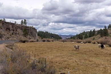Burns-Izee Rd, Hines, OR 97738 - photo 4