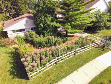 1123 E Grant Dr, Des Plaines, IL 60016 - photo 4