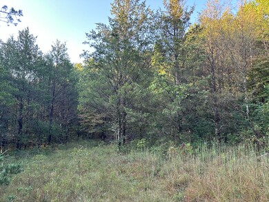 7 acres in Walnut Shade, MO