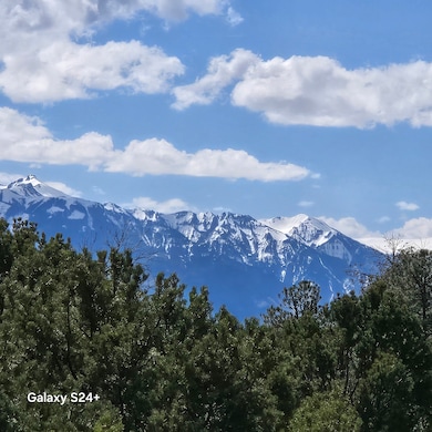 173 Kendall Rd, Ridgway, CO 81432 - photo 2