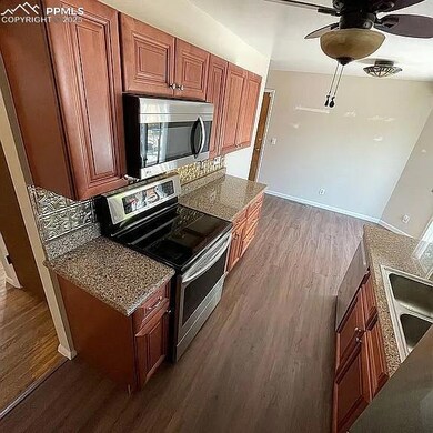 Kitchen featuring appliances with stainless steel finishes, dark wood-style flooring, a ceiling fan, and dark stone countertops