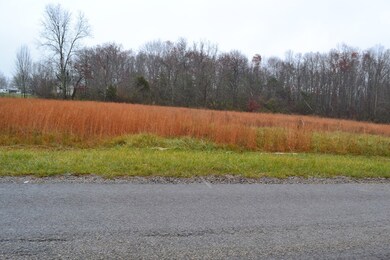 0 Clear Creek Ln unit 201783, Clarkrange, TN 38553 - photo 3