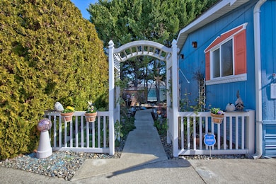 Concrete Walkway