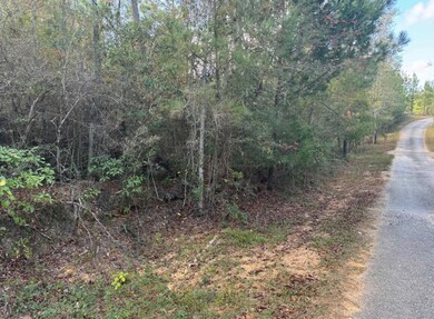 000 J Bailey Rd, Wiggins, MS 39577 - photo 6