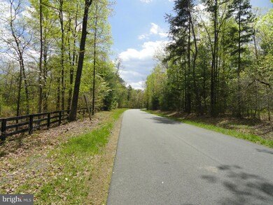 0 Meander Run Rd unit 1000402039, Madison, VA 22727 - photo 4