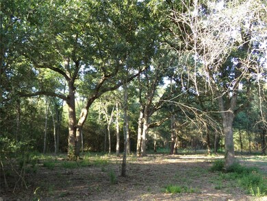 30954 Hegar Rd, Hockley, TX 77447 - photo 4